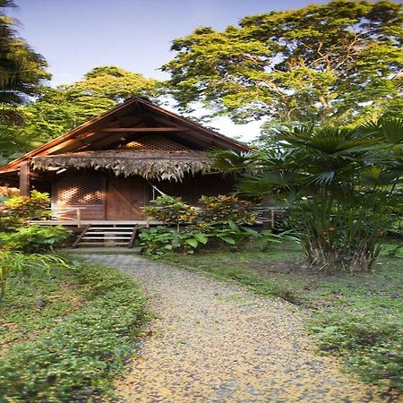 Azania Bungalows Puerto Viejo de Talamanca Dış mekan fotoğraf