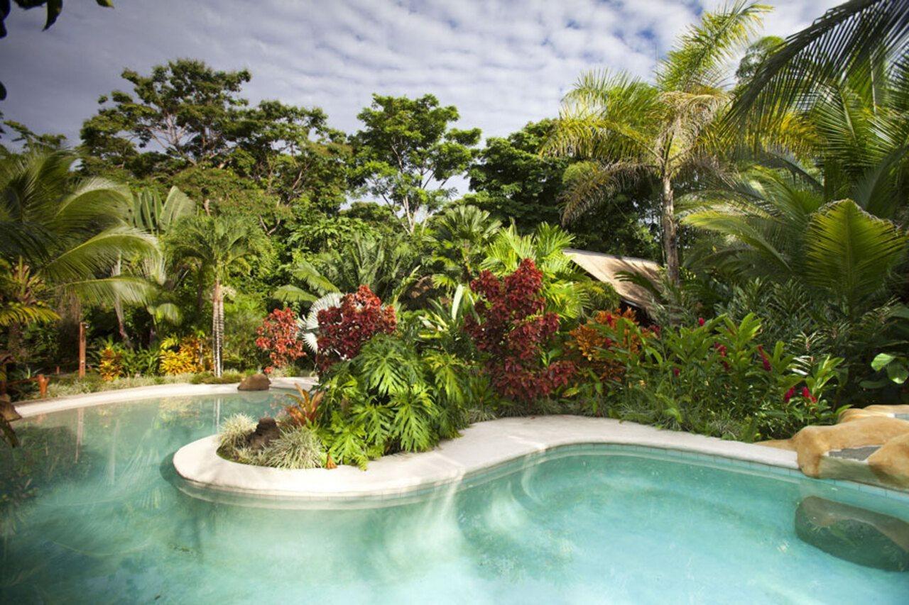 Azania Bungalows Puerto Viejo de Talamanca Dış mekan fotoğraf