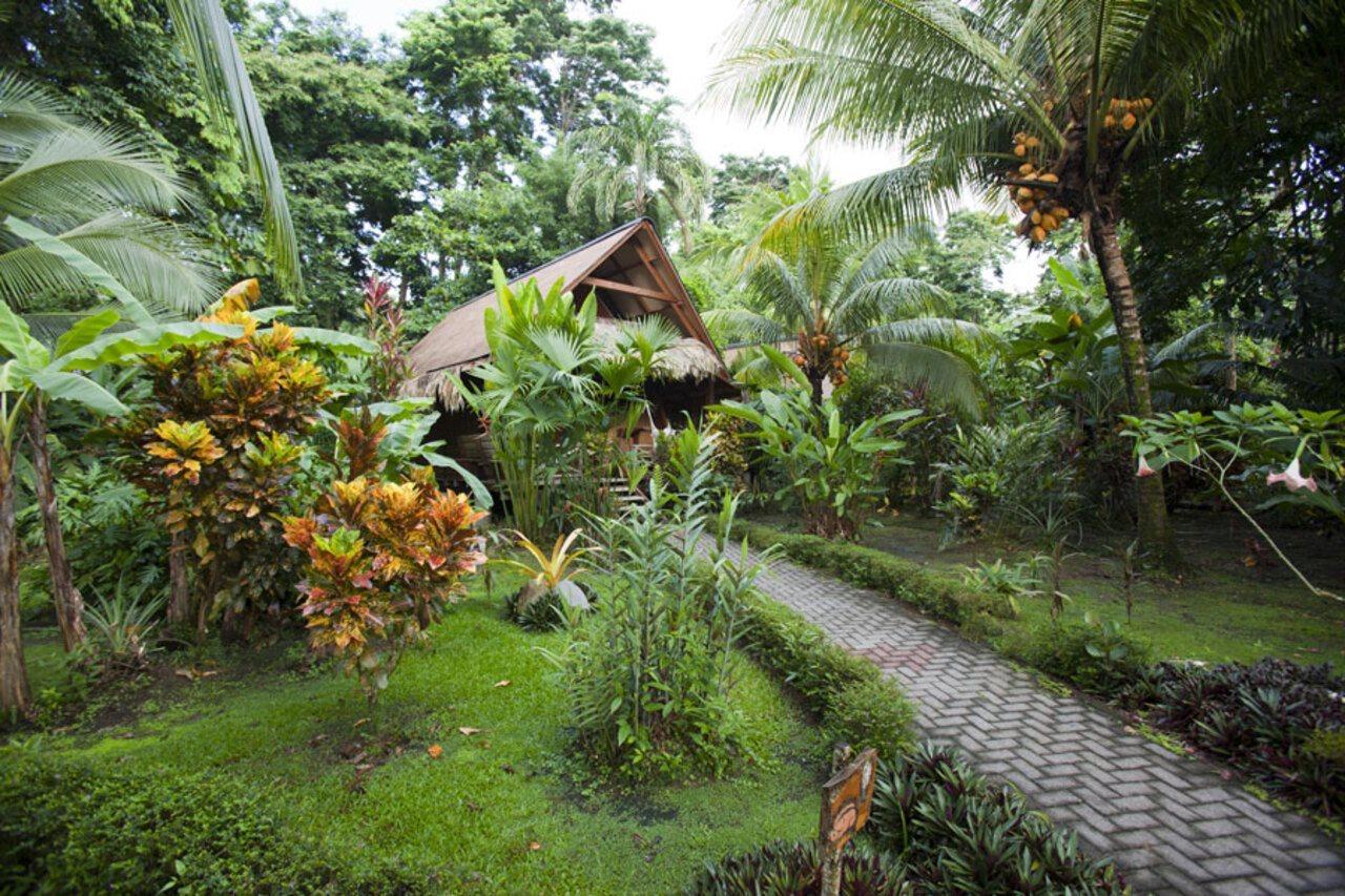 Azania Bungalows Puerto Viejo de Talamanca Dış mekan fotoğraf