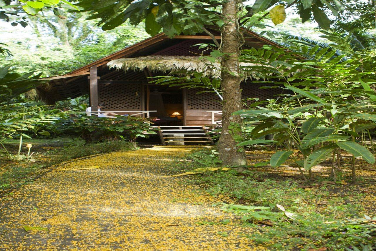 Azania Bungalows Puerto Viejo de Talamanca Dış mekan fotoğraf