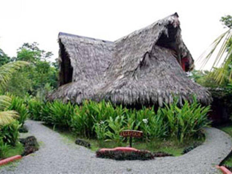 Azania Bungalows Puerto Viejo de Talamanca Dış mekan fotoğraf